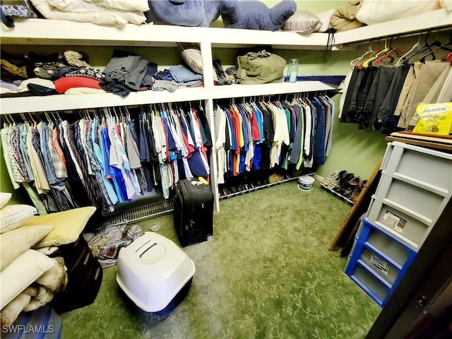 spacious closet with carpet flooring