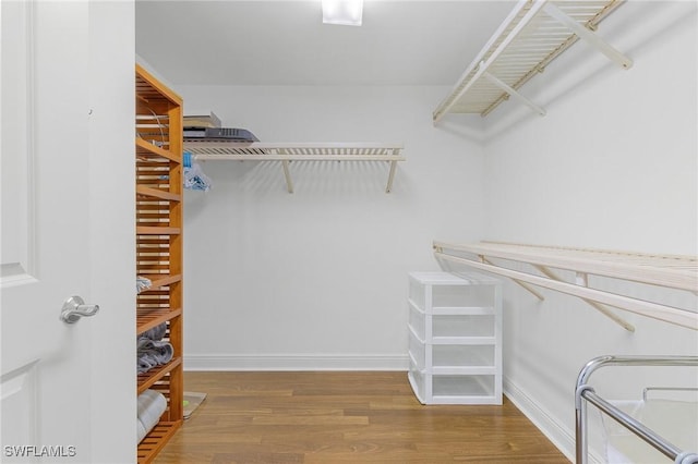 walk in closet with wood-type flooring