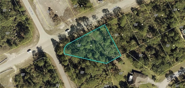 254 Grant Blvd, Lehigh Acres FL, 33974 land for sale