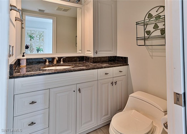 bathroom with toilet and vanity