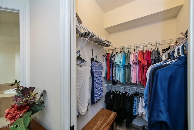 view of walk in closet