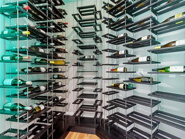 wine cellar with hardwood / wood-style floors