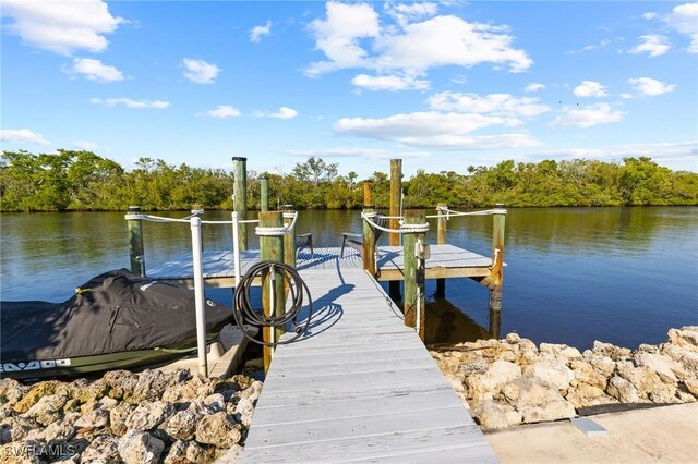 dock area featuring a water view