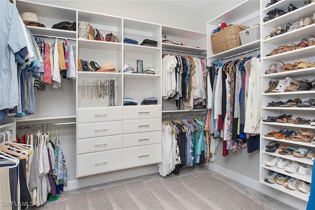 spacious closet with light carpet