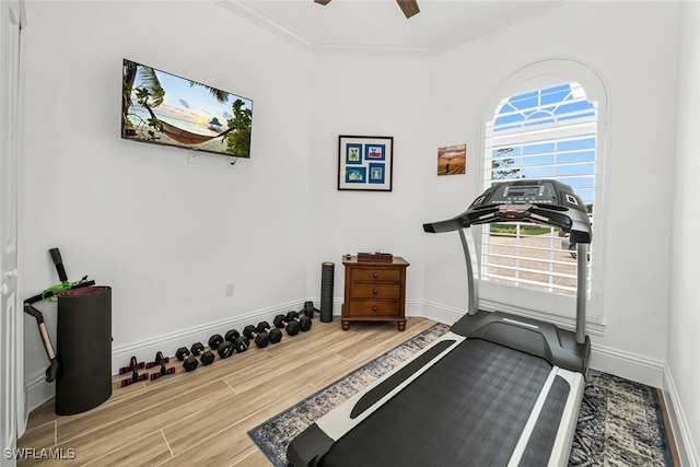 workout area with ceiling fan and crown molding