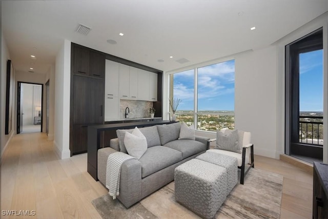 living room featuring sink and light hardwood / wood-style flooring