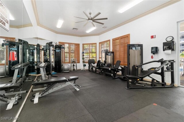 workout area with ceiling fan and crown molding