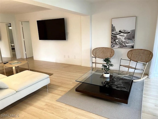 living room with light hardwood / wood-style floors