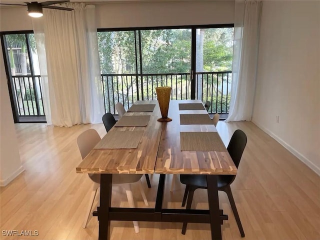 dining space featuring plenty of natural light and light hardwood / wood-style floors