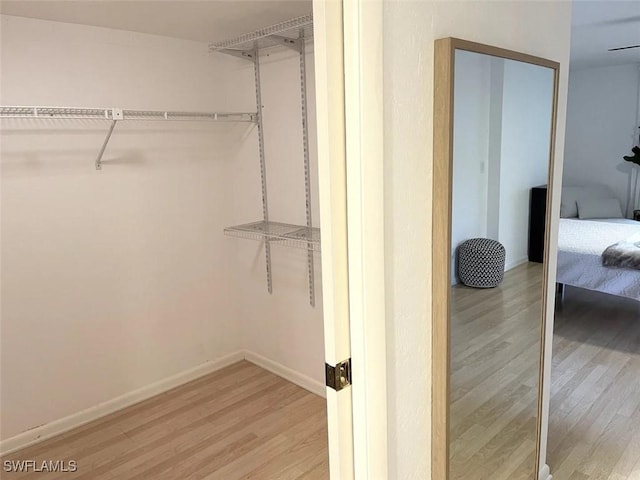 walk in closet featuring light hardwood / wood-style floors