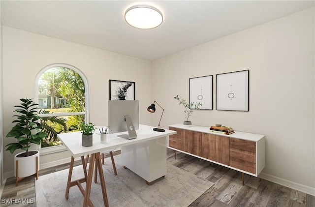 office space featuring wood-type flooring