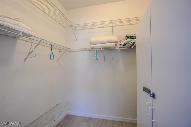 spacious closet with light wood-type flooring