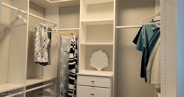 view of spacious closet