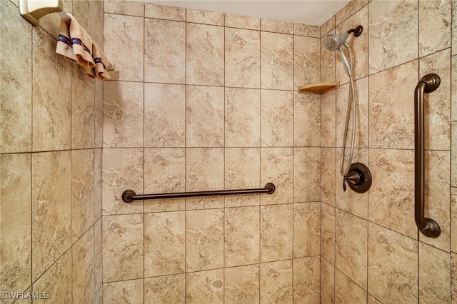 interior details with tiled shower