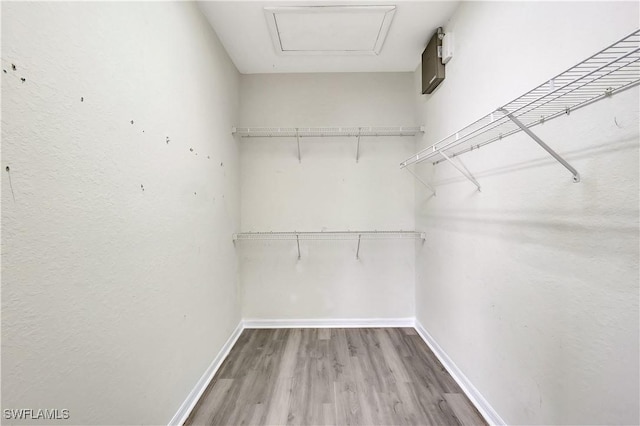 spacious closet featuring light wood-type flooring