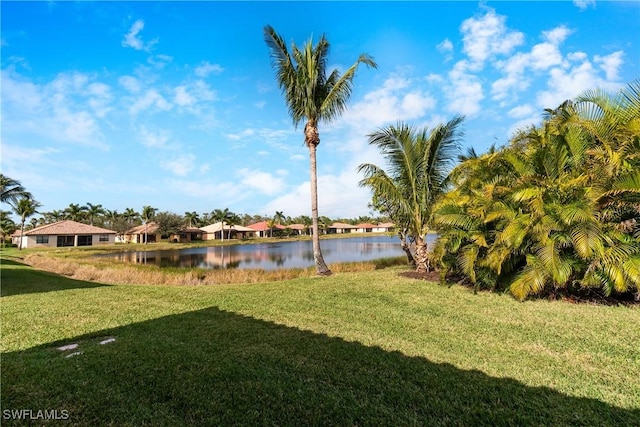 view of yard with a water view