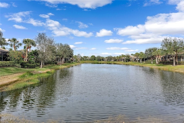 view of water feature