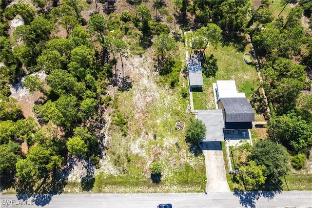 2316 Roosevelt Ave, Alva FL, 33920 land for sale