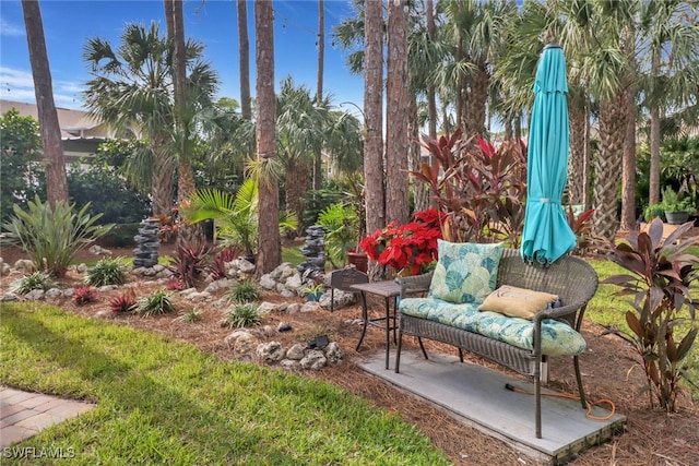 view of yard with a patio area