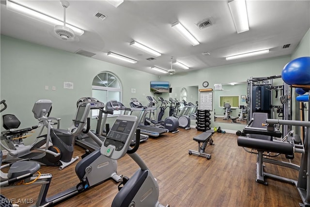 workout area featuring hardwood / wood-style floors and ceiling fan