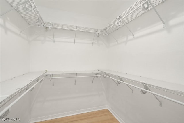 spacious closet featuring hardwood / wood-style flooring