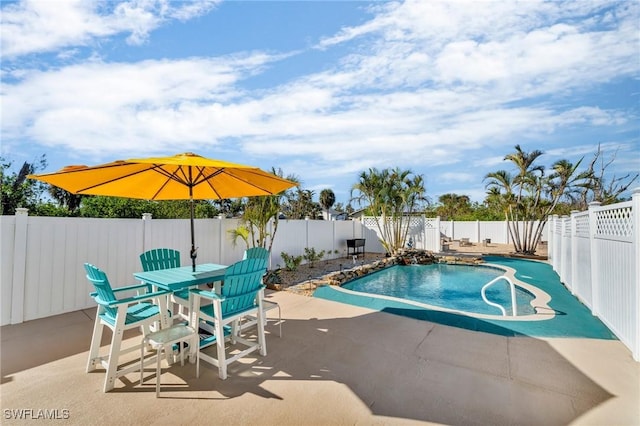 view of swimming pool featuring a patio area