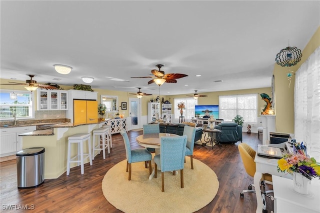 dining area featuring dark hardwood / wood-style flooring, ceiling fan, and sink