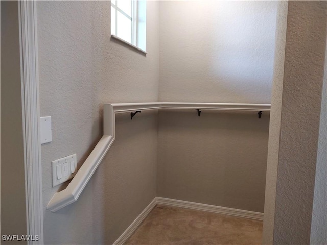 spacious closet featuring carpet flooring