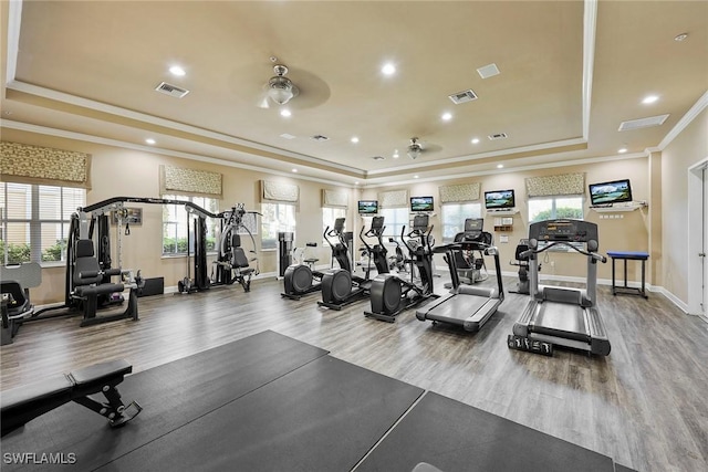 exercise room with wood-type flooring, a tray ceiling, plenty of natural light, and ceiling fan