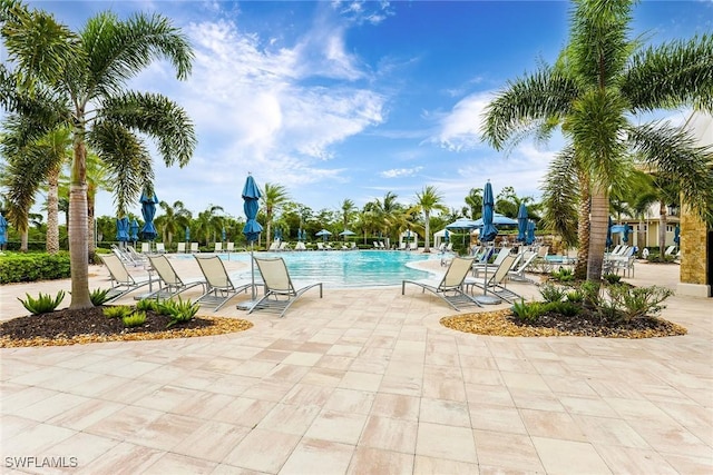 view of pool featuring a patio area