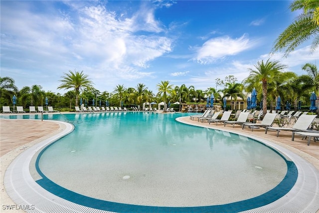 view of pool featuring a patio