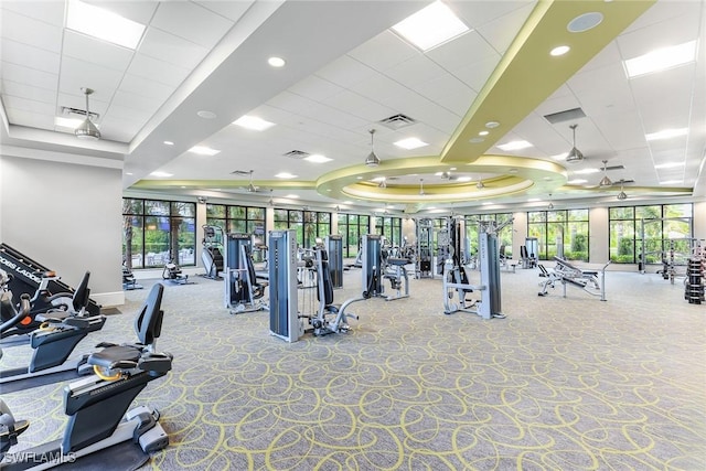 gym featuring carpet flooring, a raised ceiling, a paneled ceiling, and expansive windows