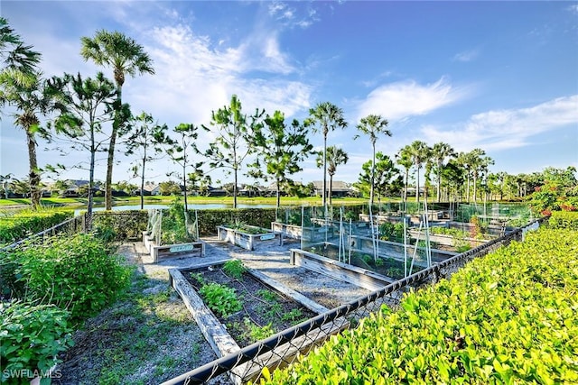 view of community with a water view