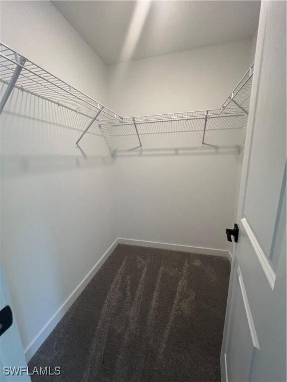 spacious closet with dark carpet