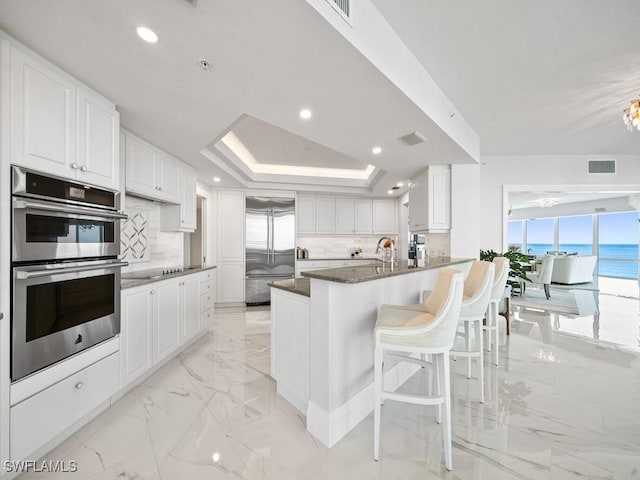 kitchen with white cabinets, a water view, decorative backsplash, appliances with stainless steel finishes, and a tray ceiling