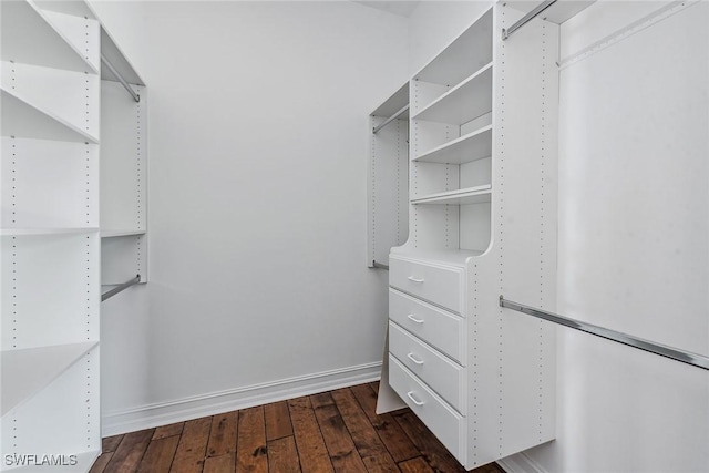 spacious closet featuring dark wood-type flooring