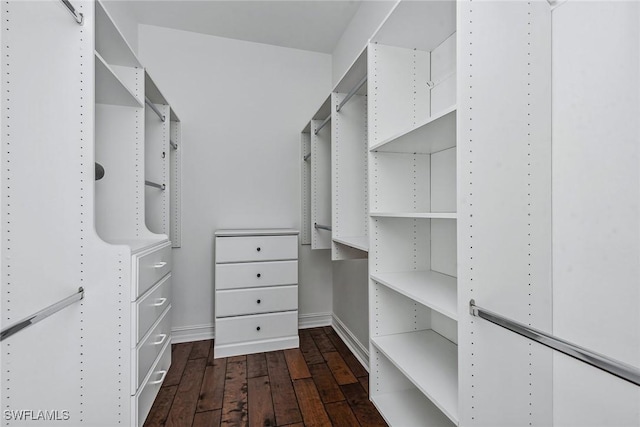 spacious closet featuring dark wood-type flooring