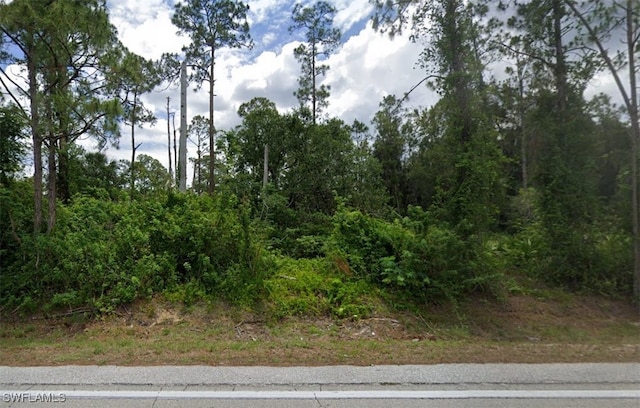 1114 Richmond Ave N, Lehigh Acres FL, 33972 land for sale