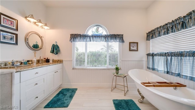 bathroom featuring plenty of natural light, vanity, and a bathing tub