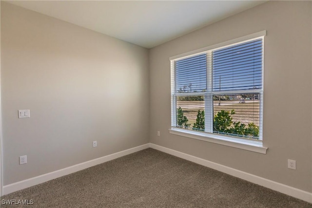 empty room featuring carpet