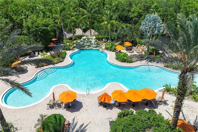 view of pool with a patio