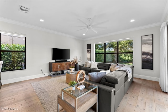 living room featuring ceiling fan, light wood-type flooring, and crown molding