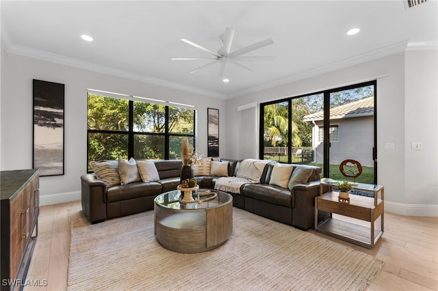 living room featuring ceiling fan, light hardwood / wood-style floors, and crown molding