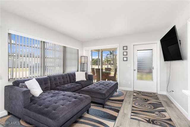 living room with light wood-type flooring