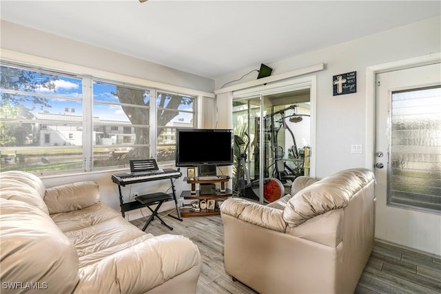 living room with wood-type flooring