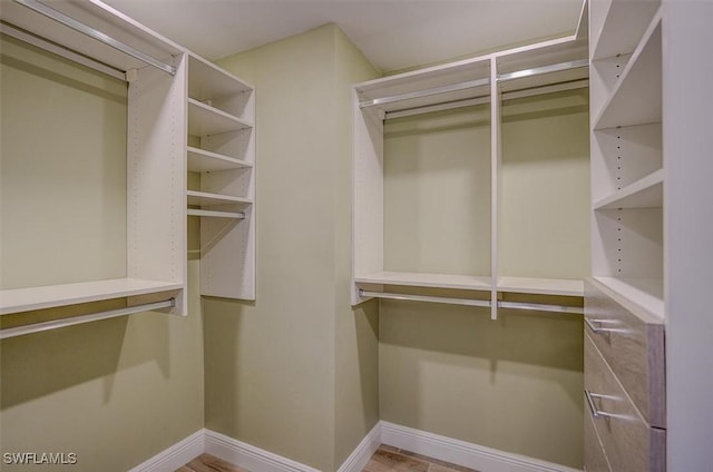 view of walk in closet