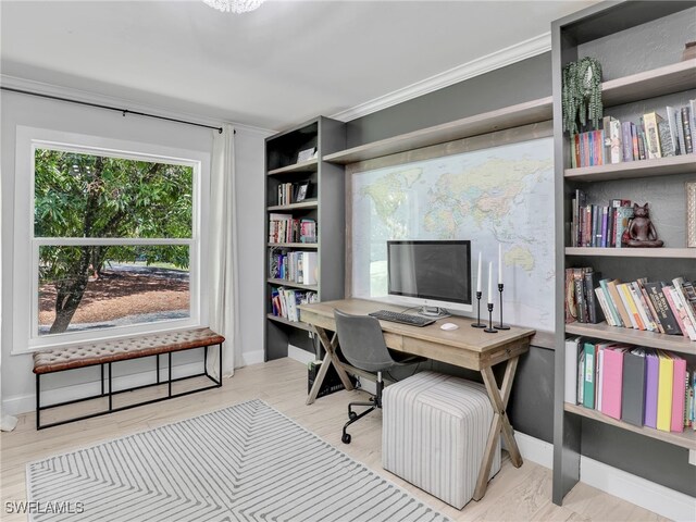 office area featuring ornamental molding, baseboards, and wood finished floors