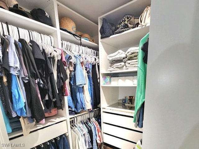 view of spacious closet