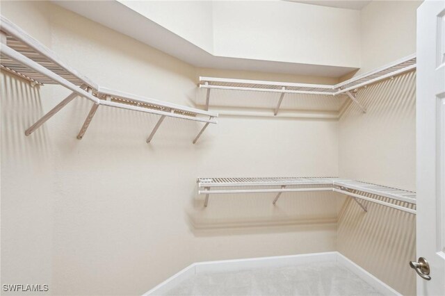 25970 Nesting Ct Unit 201, Bonita Springs, FL 34134 - view of spacious closet