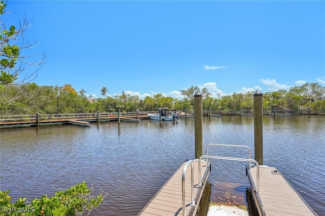25970 Nesting Ct Unit 201, Bonita Springs, FL 34134 - dock area with a water view and view of wooded area